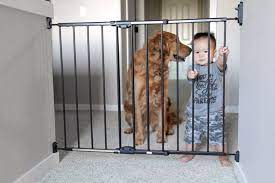 Best Baby Gates For Dogs
