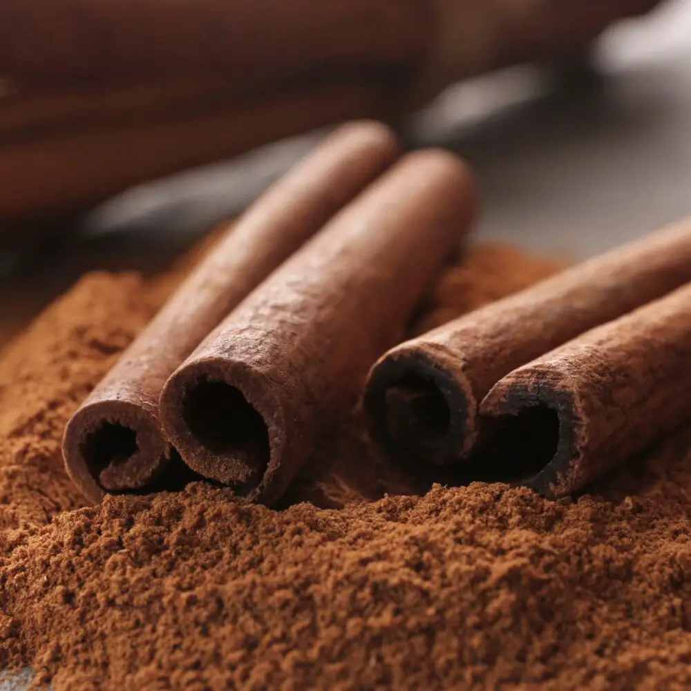What Does Cinnamon Do In Early Pregnancy